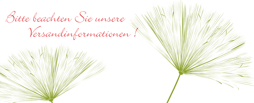 Willkommen bei papierjunkie.de