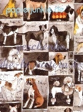 Geschenkpapier Dog Squares, Hunde (A*)