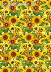 Geschenkpapier Sonnenblumen (2 Bogen)