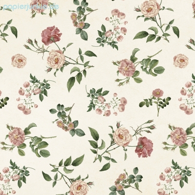 Geschenkpapier Roses, Rosen (*R)