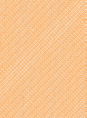 Geschenkpapier Gänseblümchen in Zweigen