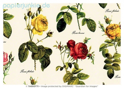 Geschenkpapier Rosen (Grafiche Tassotti)