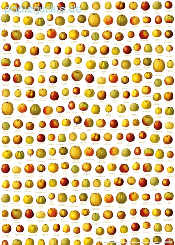 Geschenkpapier Apfelsorten