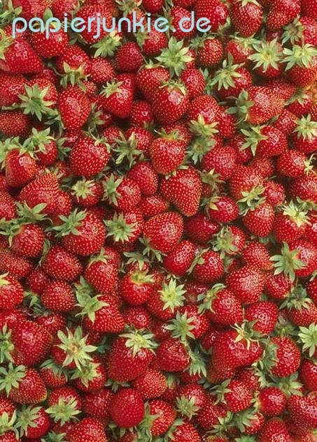 Geschenkpapier Erdbeeren, Strawberries (F*)