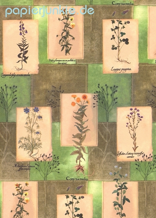 Geschenkpapier Herbarium (Carta Varese)