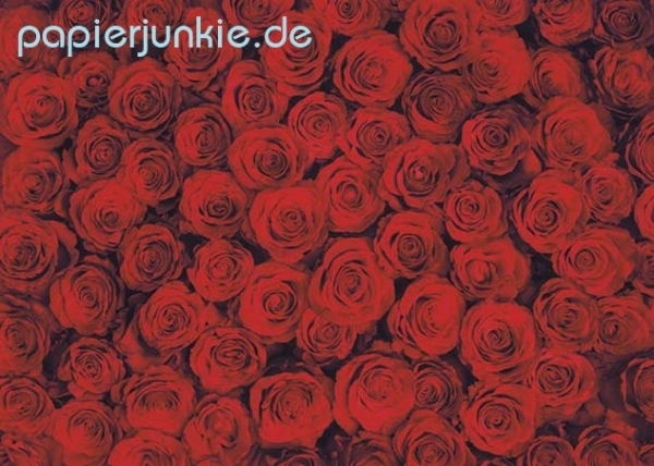 Geschenkpapier Rote Rosen, Red Roses