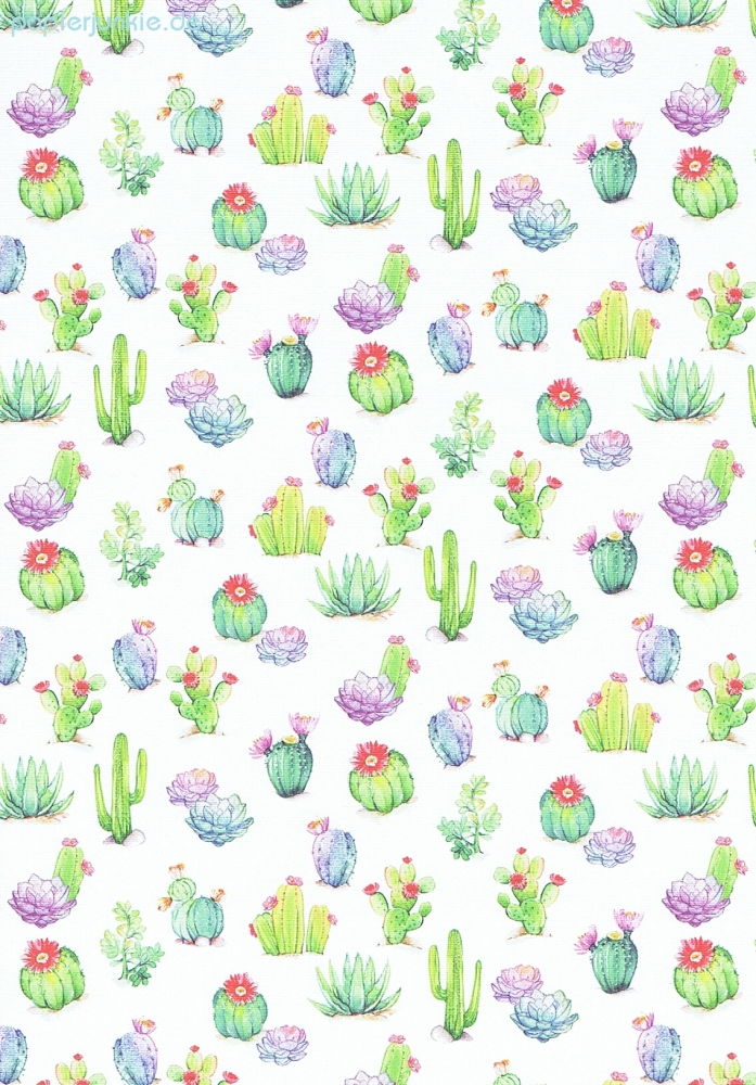 Geschenkpapier Kaktus, Cactus (R*)