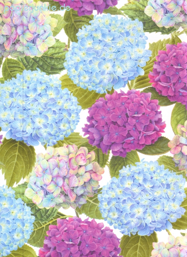 Geschenkpapier Hydrangea Garden, Hortensien