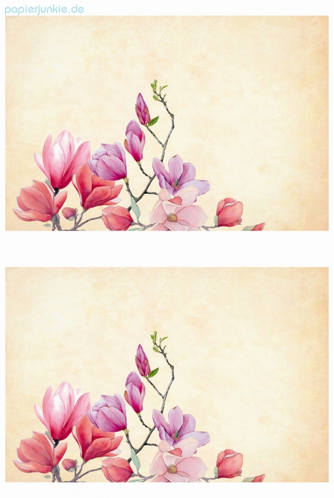 Geschenkpapier/Bastelpapier Magnolien