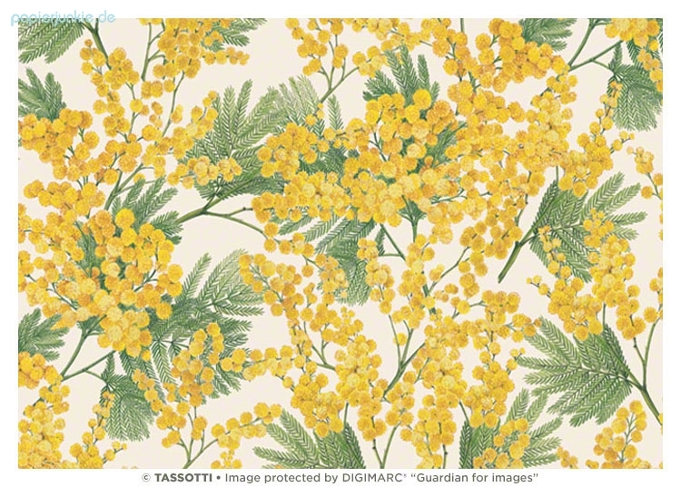 Geschenkpapier Mimose (Grafiche Tassotti)