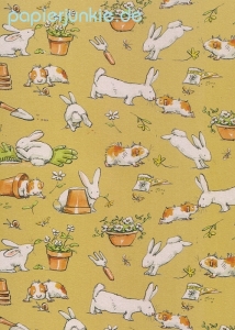 Geschenkpapier Guinea pigs & pots