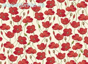 Geschenkpapier Mohnblumen