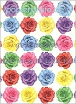 Geschenkpapier Rosen, bunt (Grafiche Tassotti)