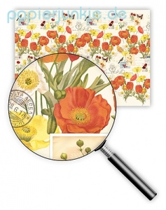 Geschenkpapier Mohnblumen (R*)