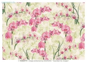 Geschenkpapier Orchideen (Grafiche Tassotti)