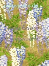 Geschenkpapier Wisteria, Glicine