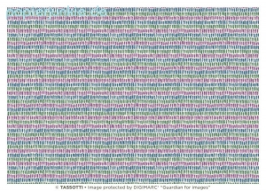 Geschenkpapier Segni di Elisa (Fioratavarese, Grafiche Tassotti)