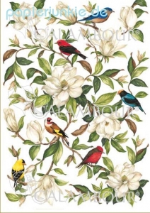 Decoupage-Papier Magnolie mit Vögeln (R/F*)