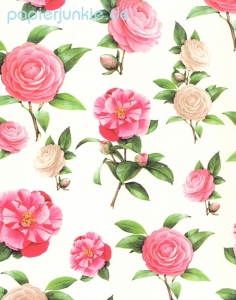 Geschenkpapier Kamelie, Camelie (Grafiche Tassotti)