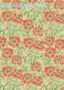 Geschenkpapier Daisies, Gänseblümchen