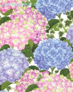 Geschenkpapier Hydrangea, Hortensien