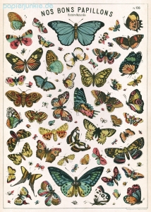 Geschenkpapier Butterfly Chart, Schmetterlinge
