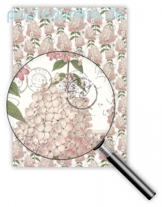Geschenkpapier Hortensien & Briefe (R*)