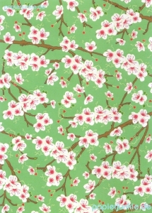 Geschenkpapier Cherry Blossom, Kirschblüte