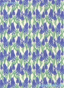 Geschenkpapier Grape Hyacinth, Traubenhyazinthe