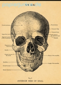 Geschenkpapier The Skull, Schädel