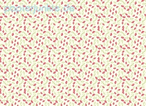 Mandorlamara Triomphe de petites fleurs, rot