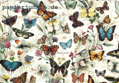 Geschenkpapier Butterflies, Schmetterlinge (F*)