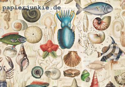 Geschenkpapier Ocean Life