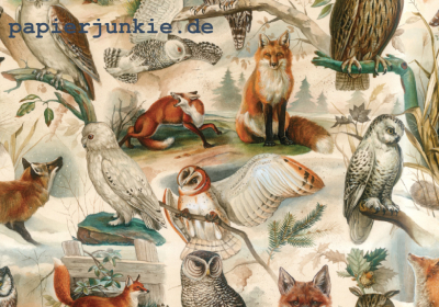 Geschenkpapier Fuchs & Eule