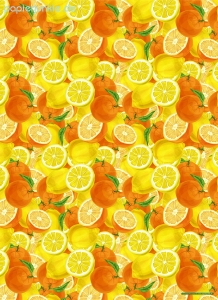 Geschenkpapier Orangen & Zitronen