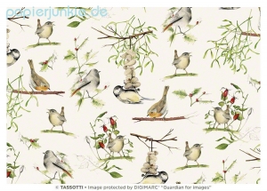 Geschenkpapier Vögelchen, Ucelli dinverno (R*)
