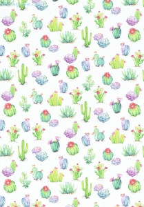 Geschenkpapier Kaktus, Cactus (R*)