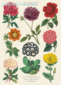 Geschenkpapier Botanica 2, Flower Garden