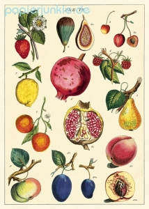 Geschenkpapier Fruit II, Früchte