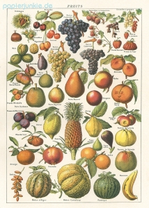 Geschenkpapier Fruit I, Früchte