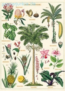 Geschenkpapier Tropical Plants, Tropische Pflanzen