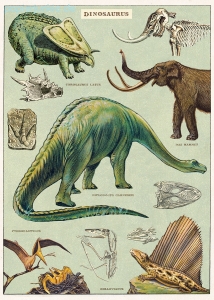 Geschenkpapier Dinosaurs, Dinosaurier