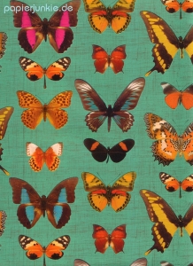 Geschenkpapier Deyrolle Butterflies, Schmetterlinge