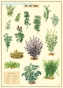 Geschenkpapier Aux-Fines-Herbs, Küchenkräuter