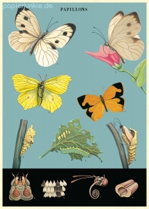 Geschenkpapier Butterflies