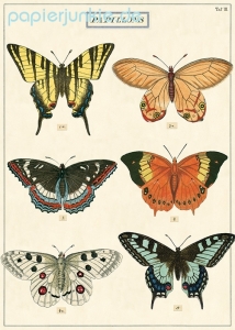 Geschenkpapier Butterflies, Papillons