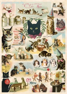 Geschenkpapier Cat Collage (R*)