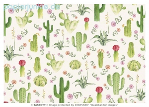 Geschenkpapier Kaktus, Cactus (Grafiche Tassotti)