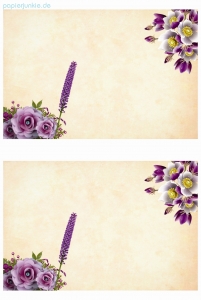Geschenkpapier/Bastelpapier Christrosen