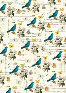 Geschenkpapier Flora & Fauna Bird, Vögel (Cavallini Papers)